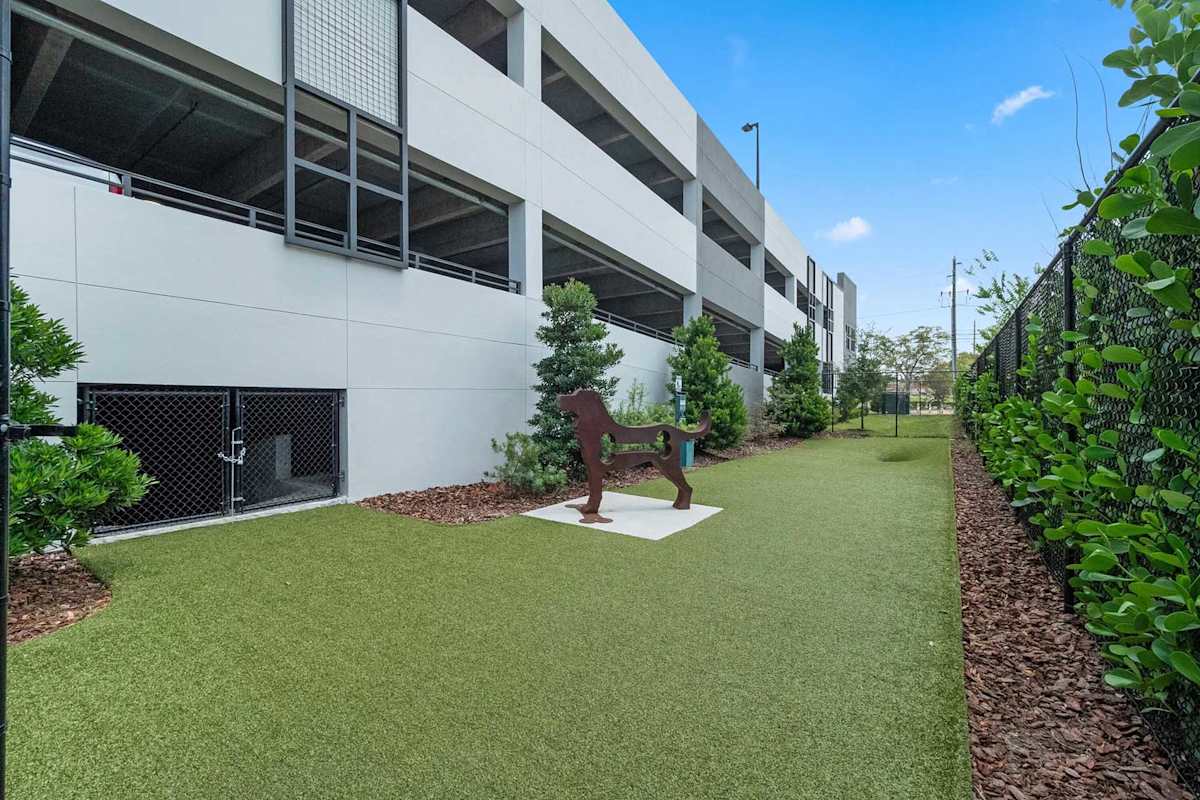 Gallery 3100 fenced bark park - St Petersburg, FL
