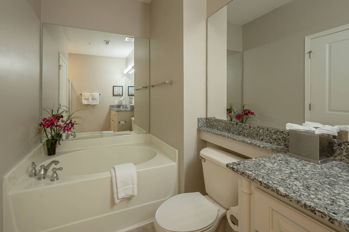 Greystone Summit Knoxville bathroom with tub - Knoxville, TN
