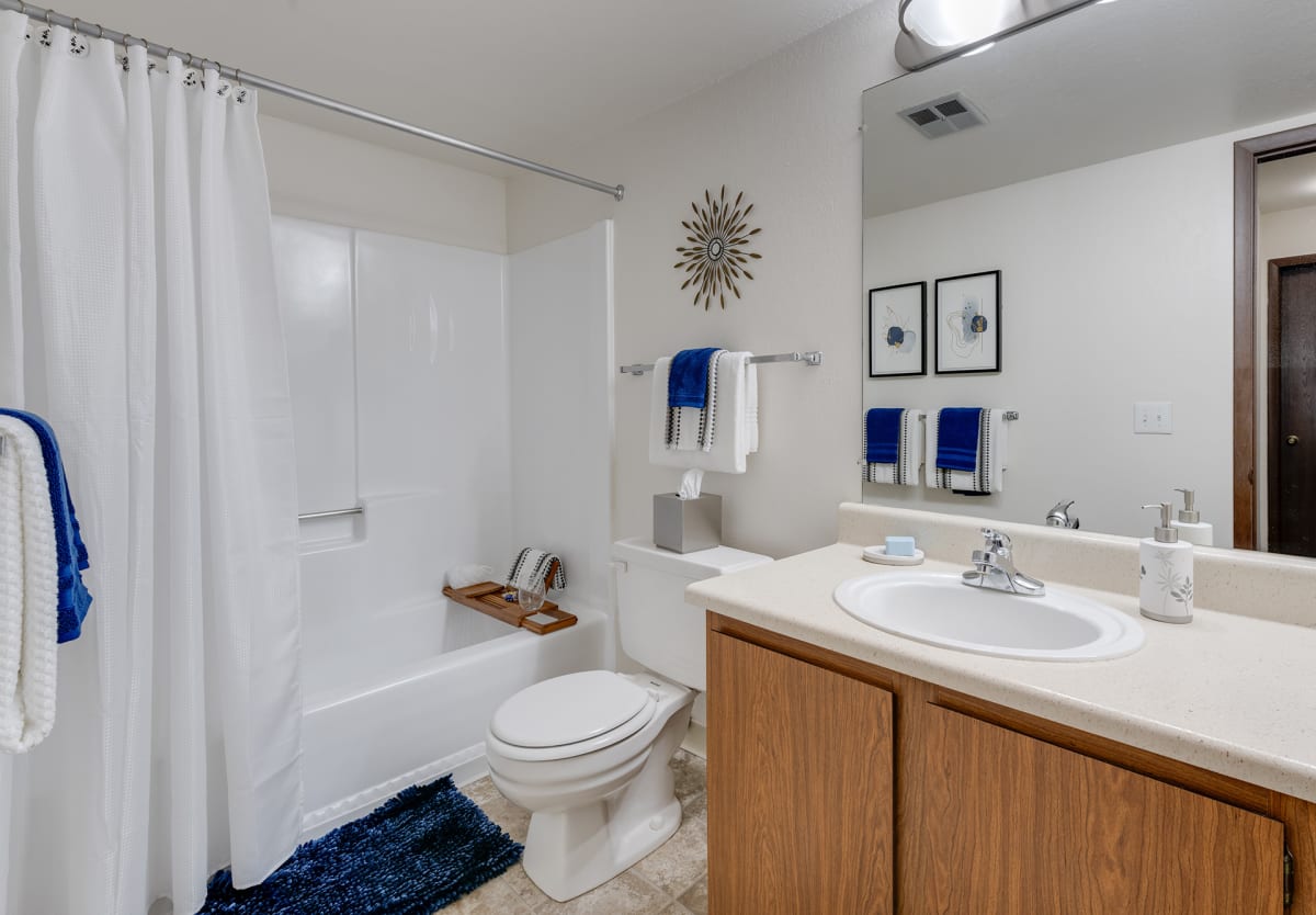 Willow Creek Apartments bathroom - Kalamazoo, MI