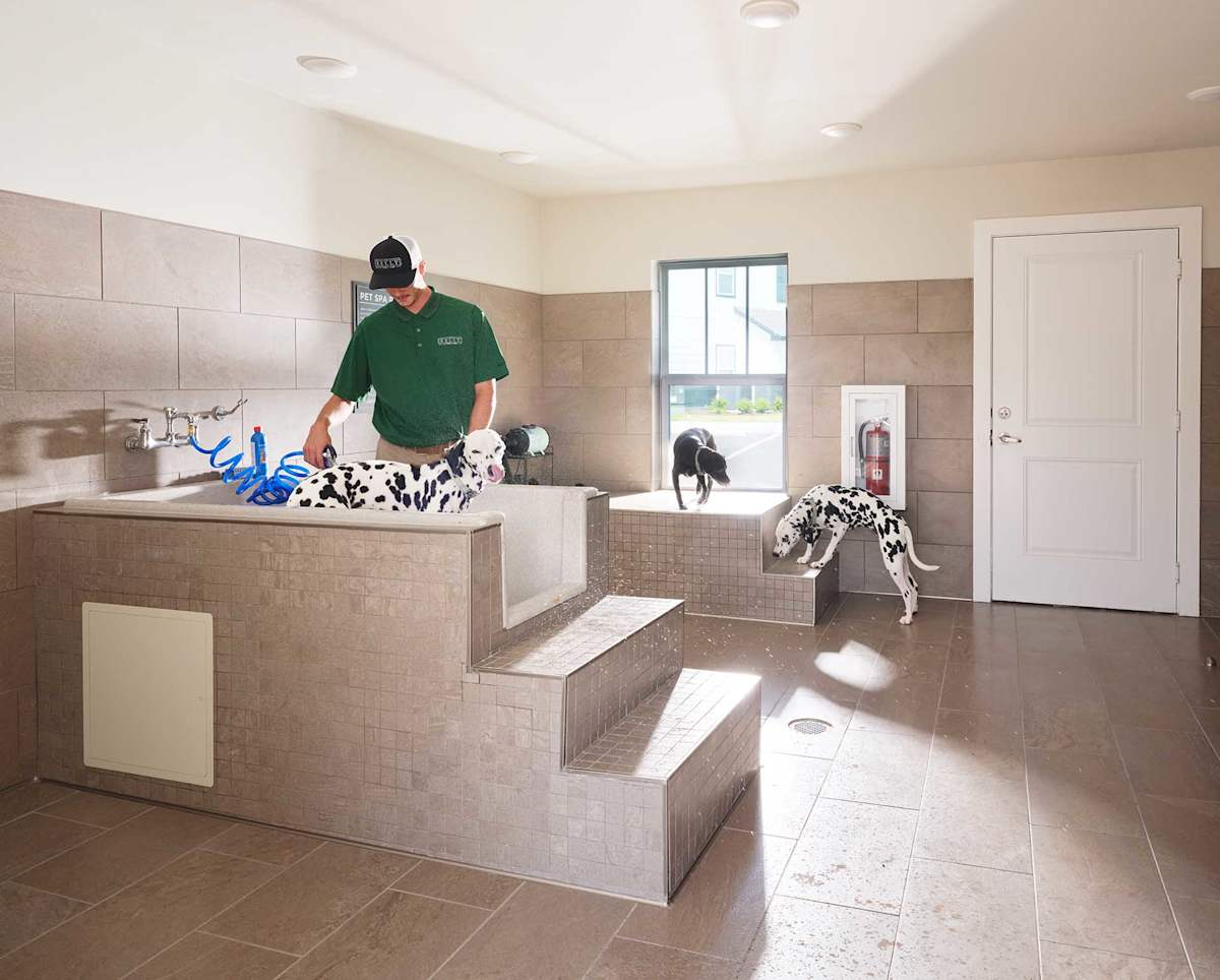 The Kelly at 23rd Luxury Apartments pet spa washing station - Panama City, FL