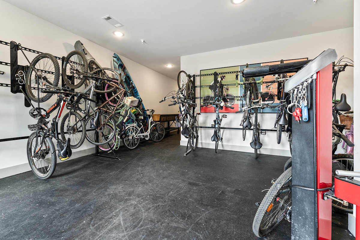 Knox at Metrocenter bike shop storage area - Nashville, TN