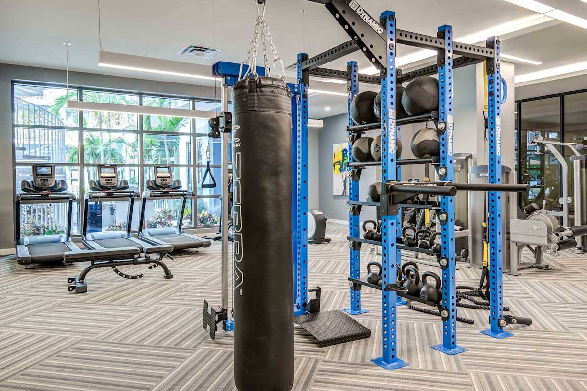 Lazul North Miami Beach Apartments fitness center workout area - North Miami Beach, FL