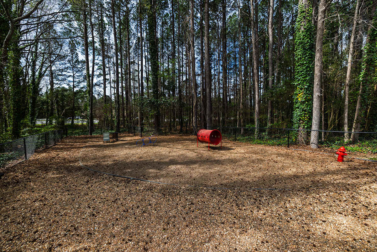 The Reserve at Meadowmont bark park - Chapel Hill, NC