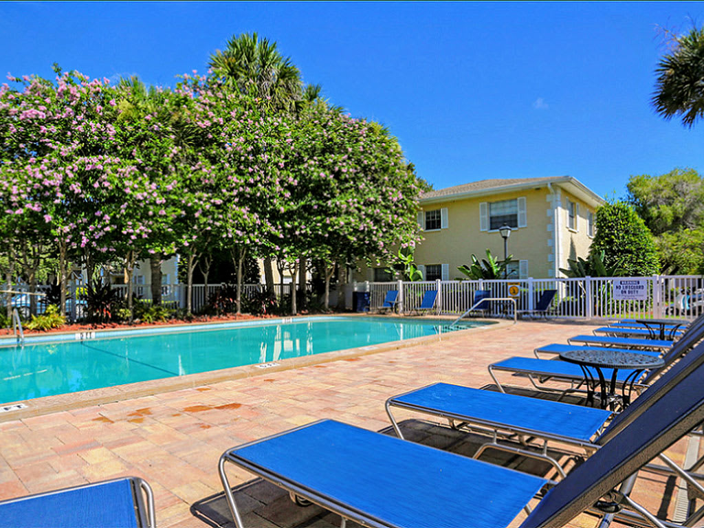 The Fountains of Largo swimming pool - Largo, FL