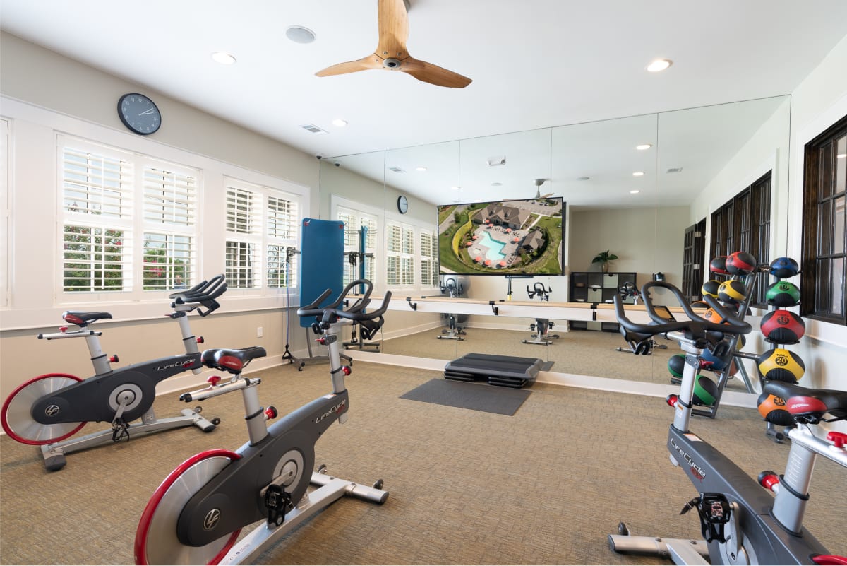 Greystone Vista Apartment Homes cardio theatre fitness center - Knoxville, TN