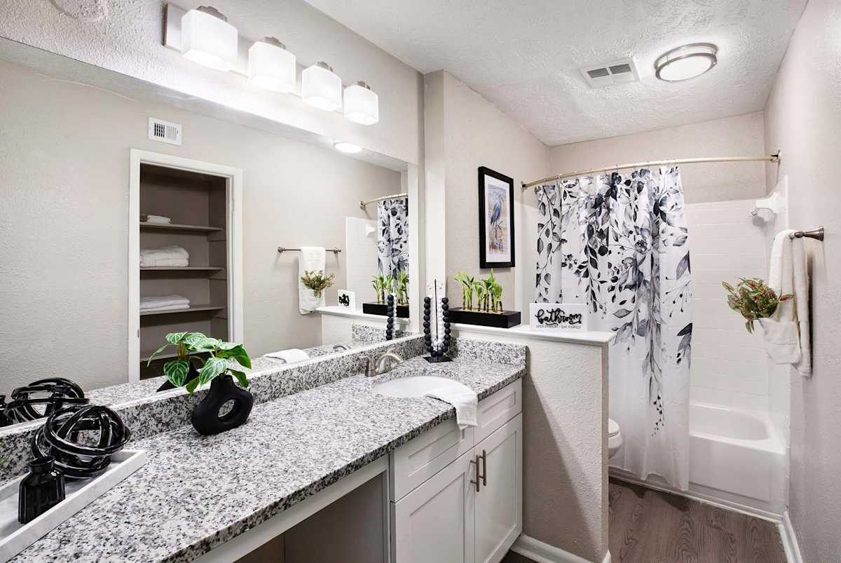 Waters Edge Apartments bathroom vanity and shower - Sandy Springs, GA