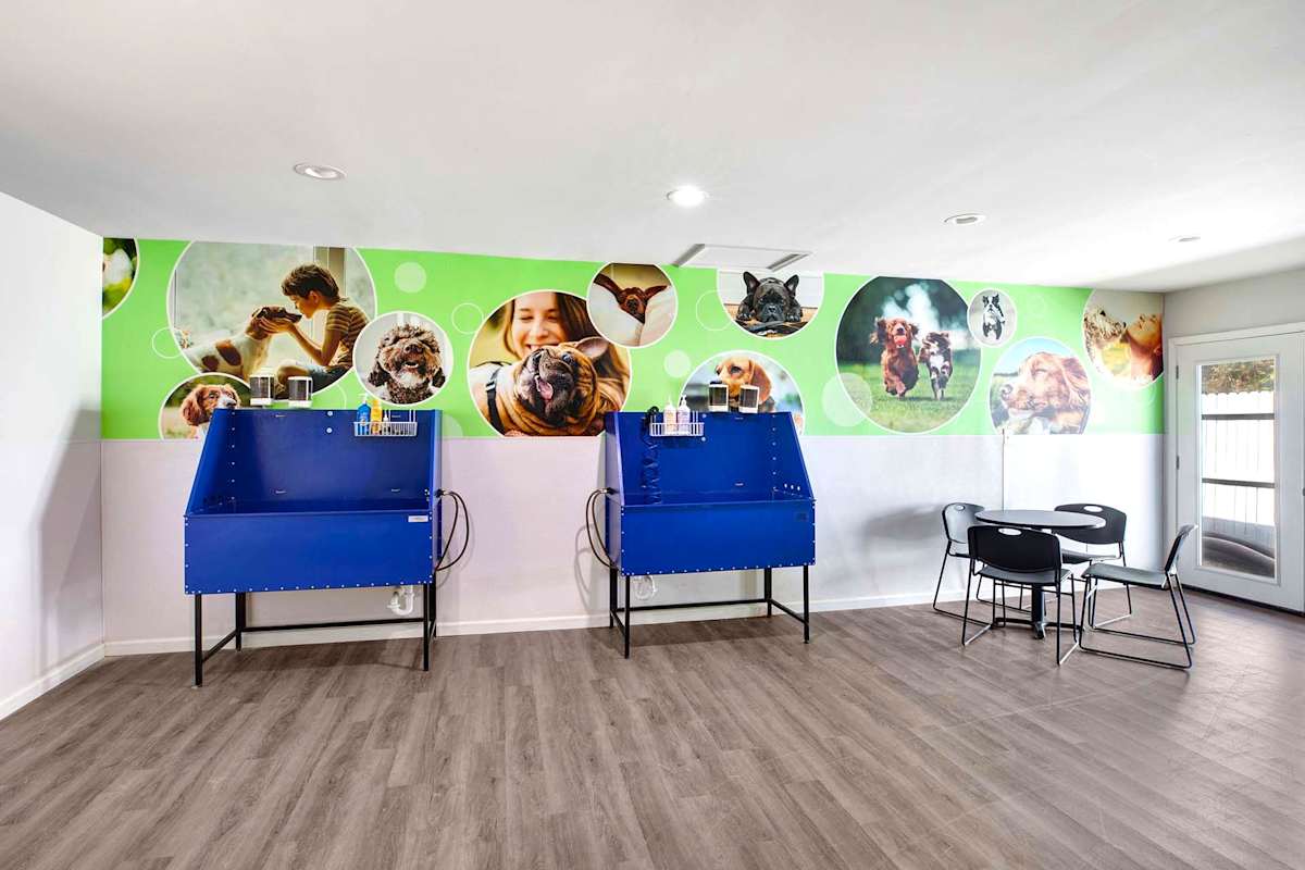 Waters Edge Apartments pet spa room - Sandy Springs, GA