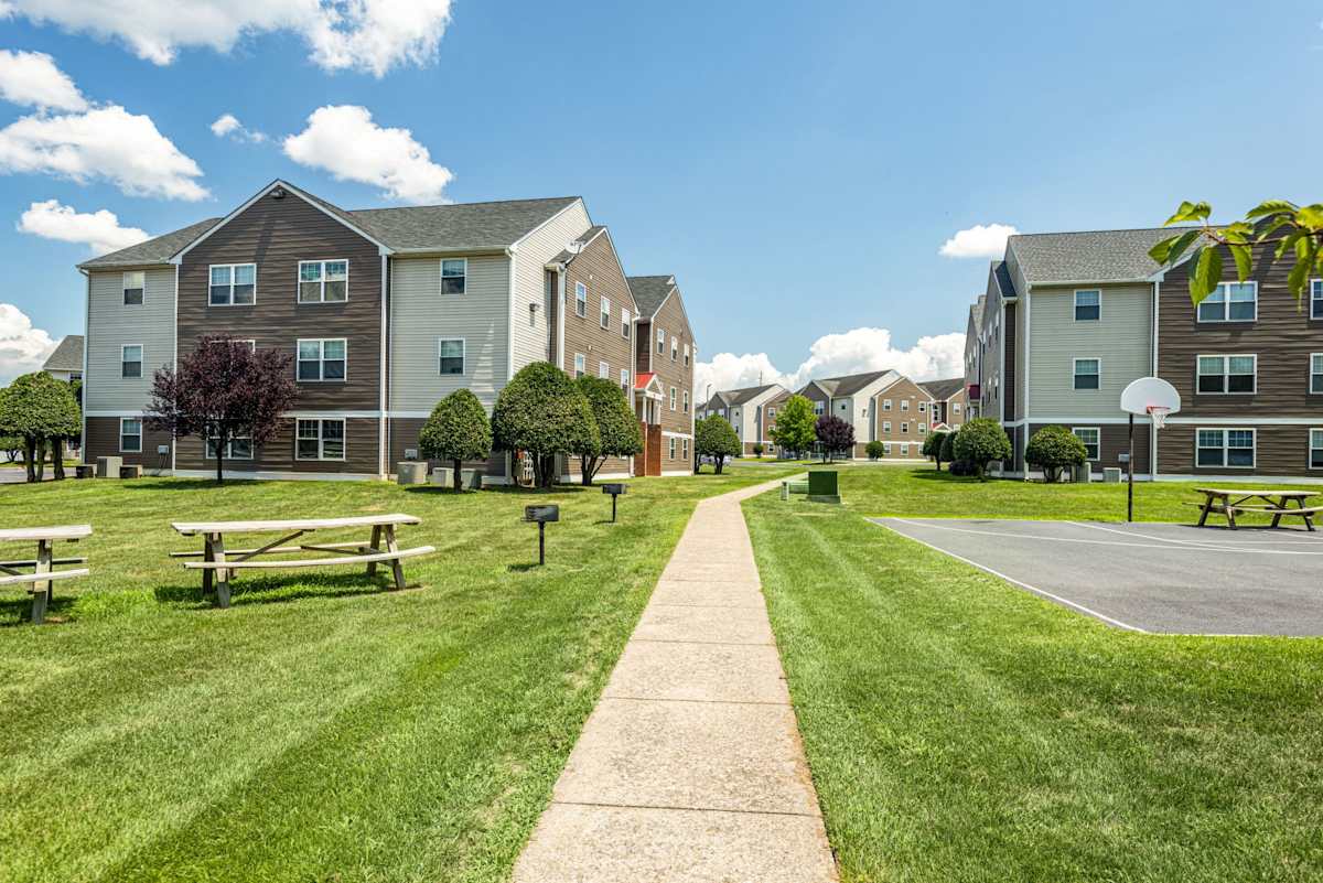 The Mill Apartments outdoor community area with picnic tables and court - Harrisonburg, VA