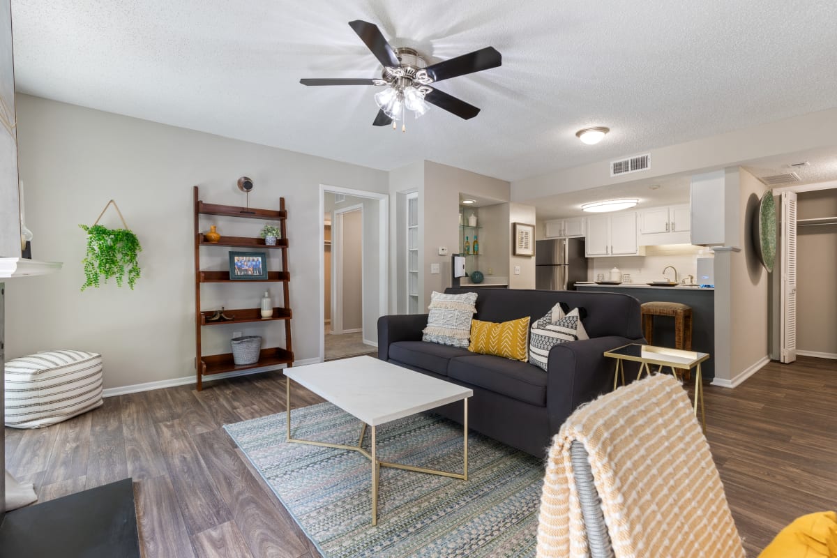 Photos and Video of Wellspring Apartments in Columbia, SC