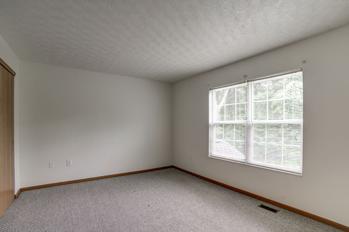 Photos and Video of Crossroads Meadow in Ebensburg, PA