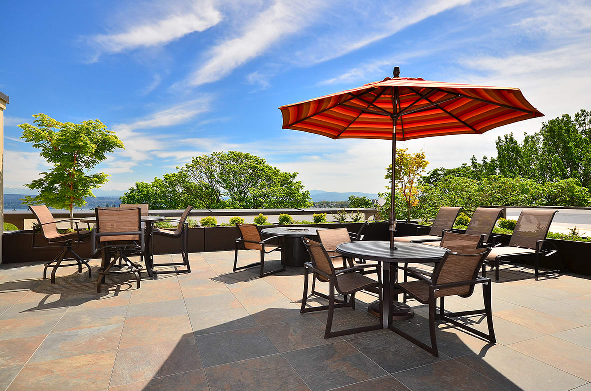 Photos and Video of Ruth Court in Seattle WA