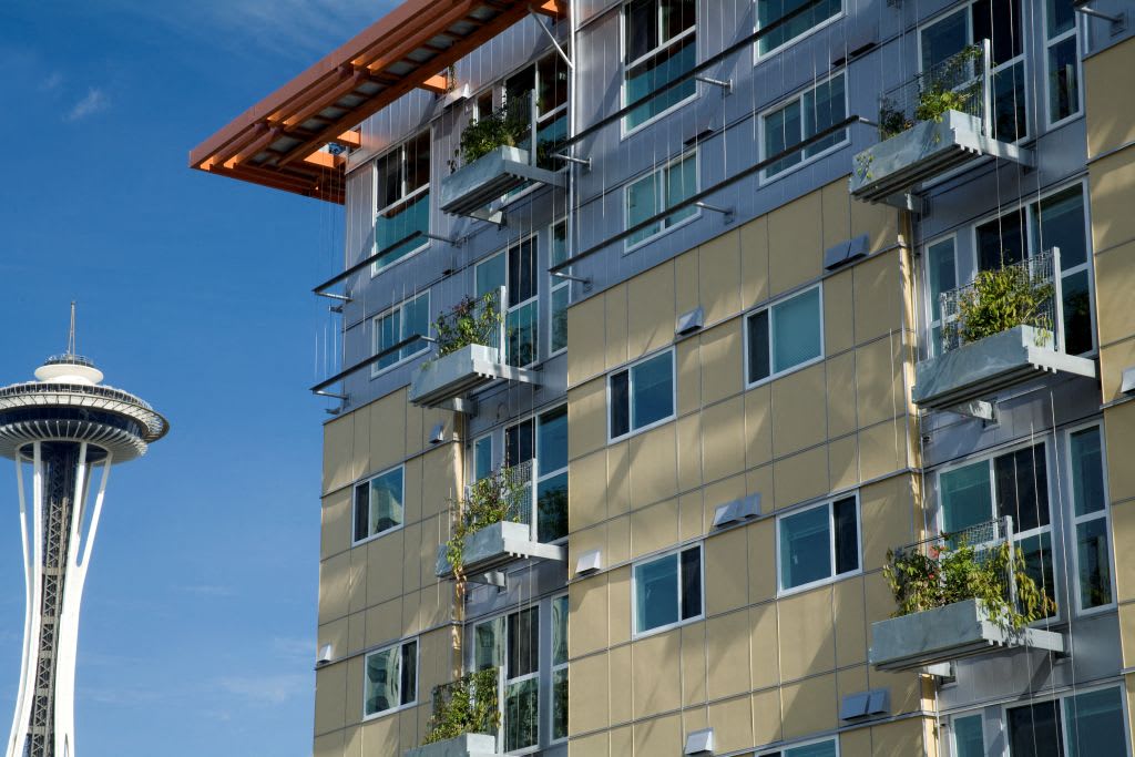 Photos and Video of Borealis in Seattle, WA