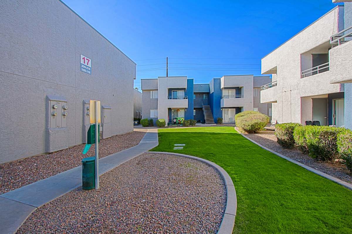 Courtyard and grounds at Paloma Village.