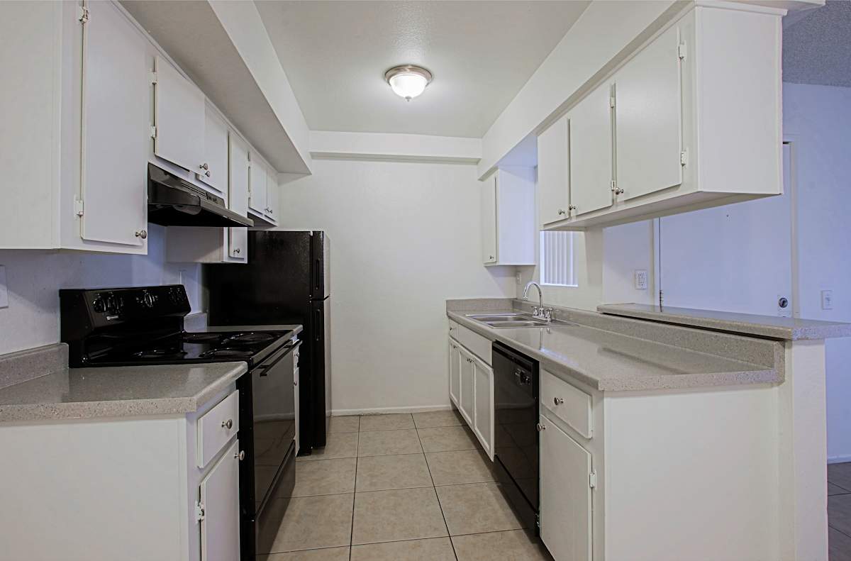 Apartment kitchen — representative home at Paloma Village.