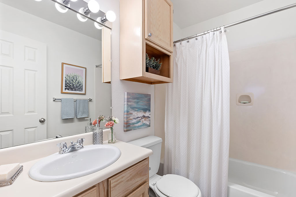 Apartment Homes by Tonti Apartments in Metairie LA RENTCafe