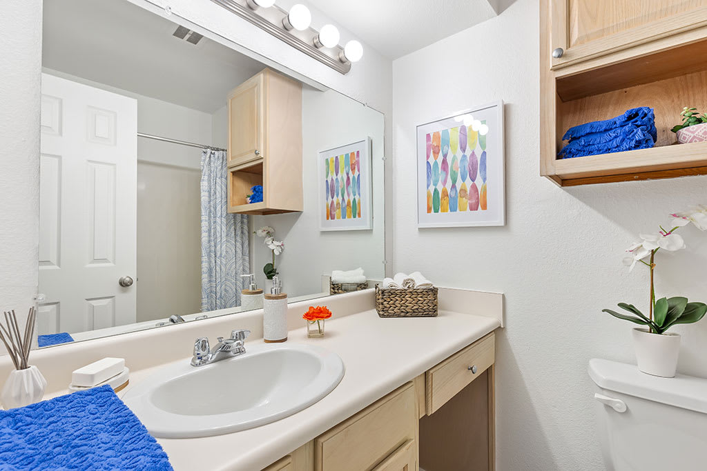 Apartment Homes by Tonti Apartments in Metairie LA RENTCafe