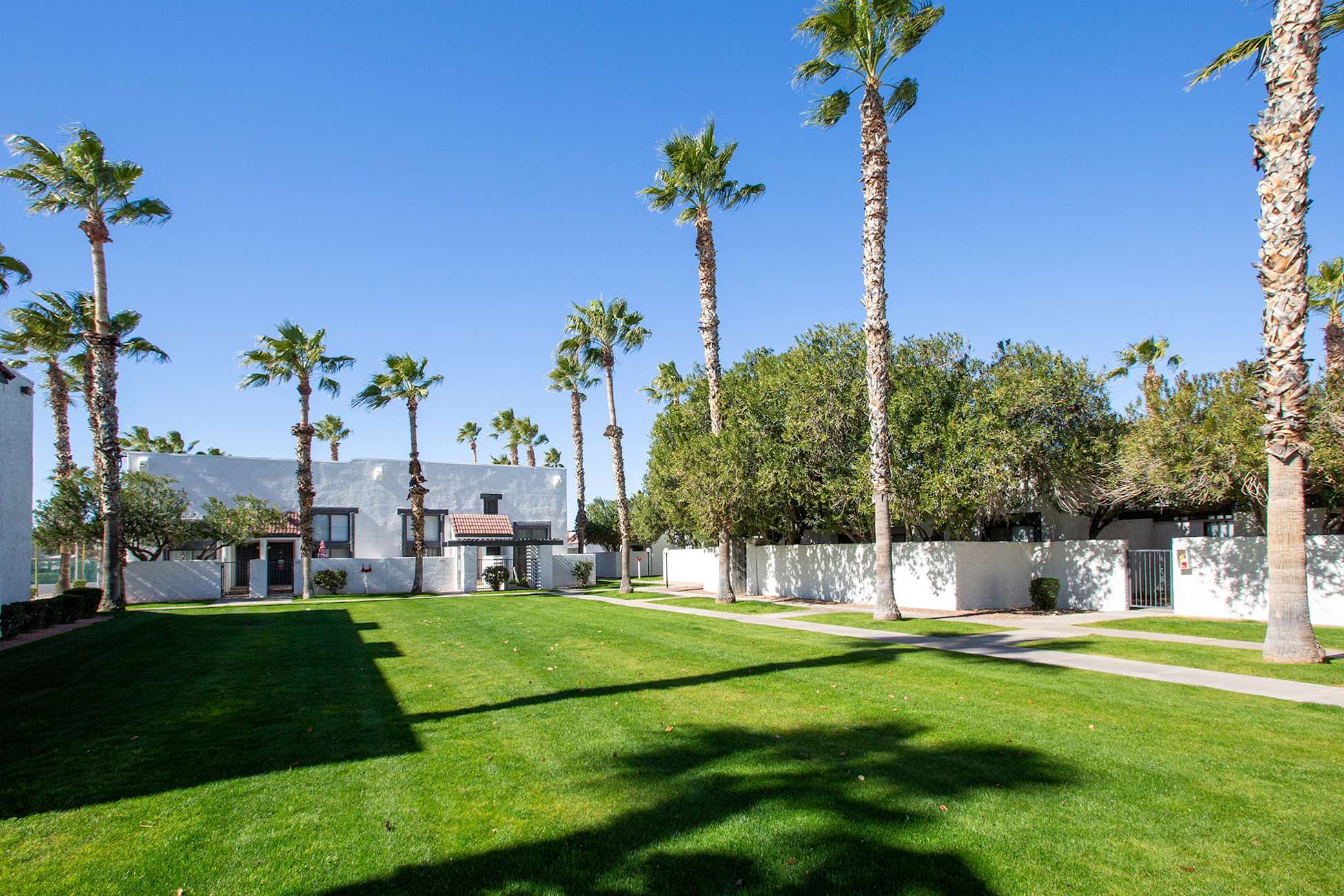 Shared outdoor space at Townhomes on the Park Apartment Homes.