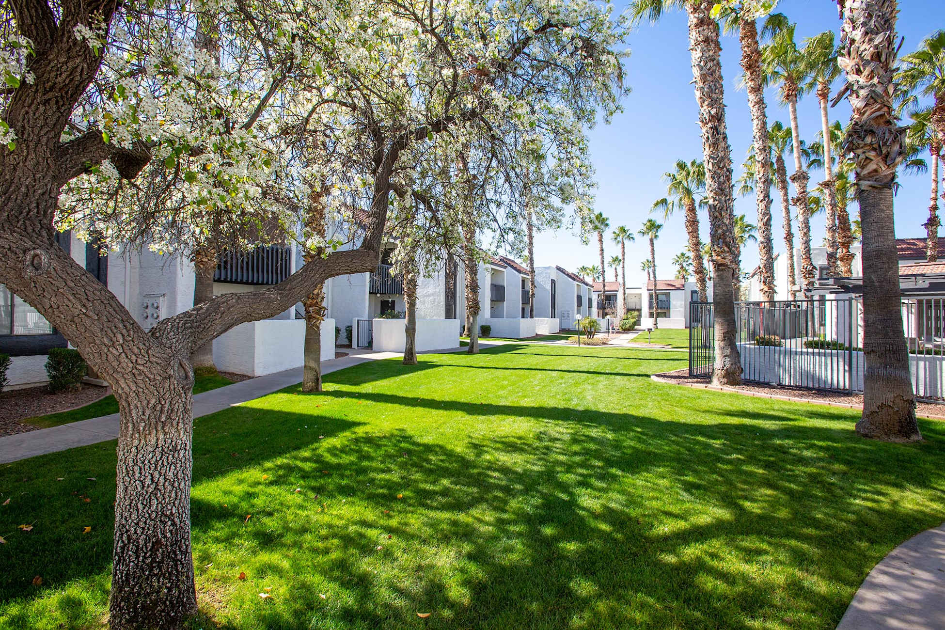 Shared outdoor space at Townhomes on the Park Apartment Homes.
