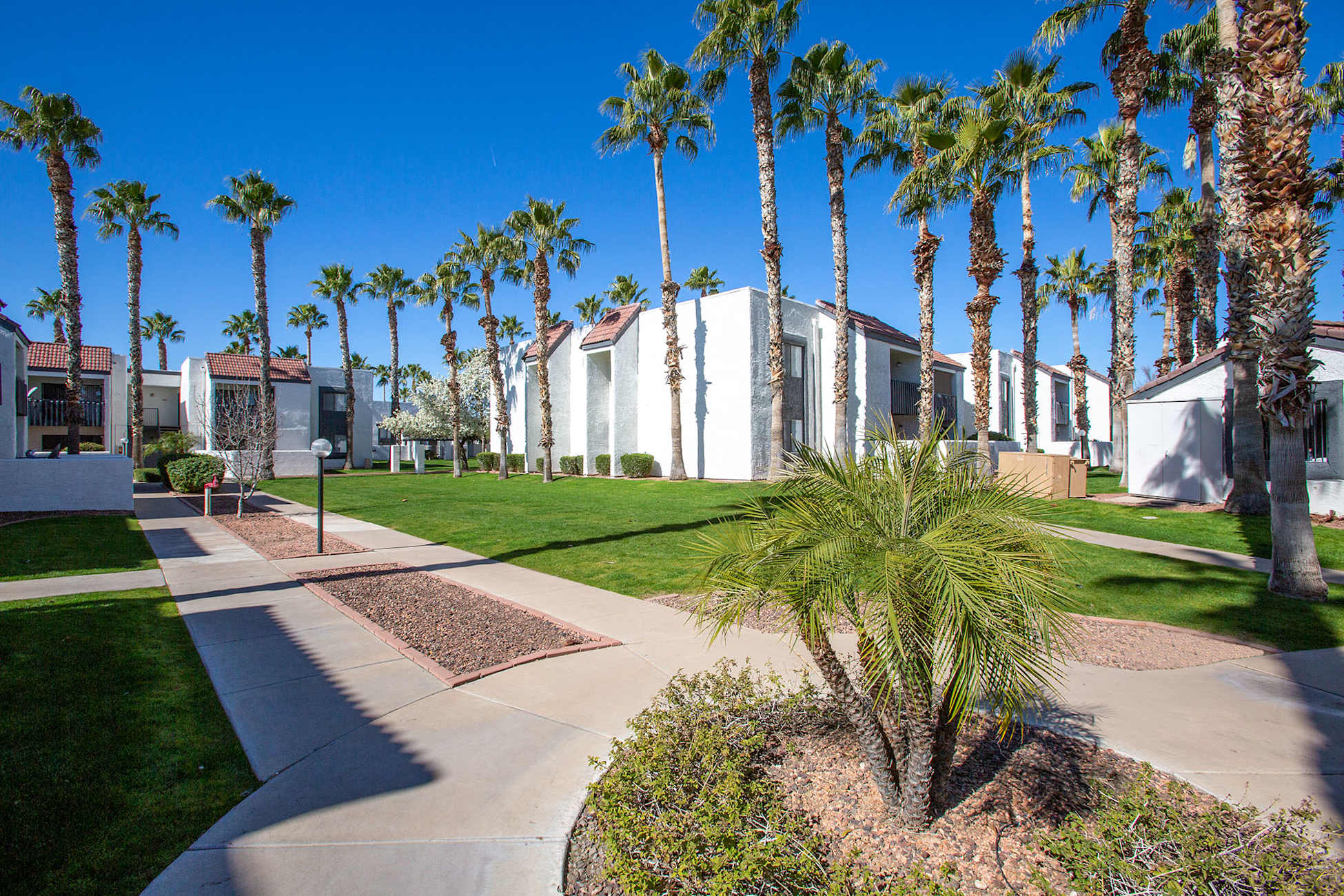Shared outdoor space at Townhomes on the Park Apartment Homes.