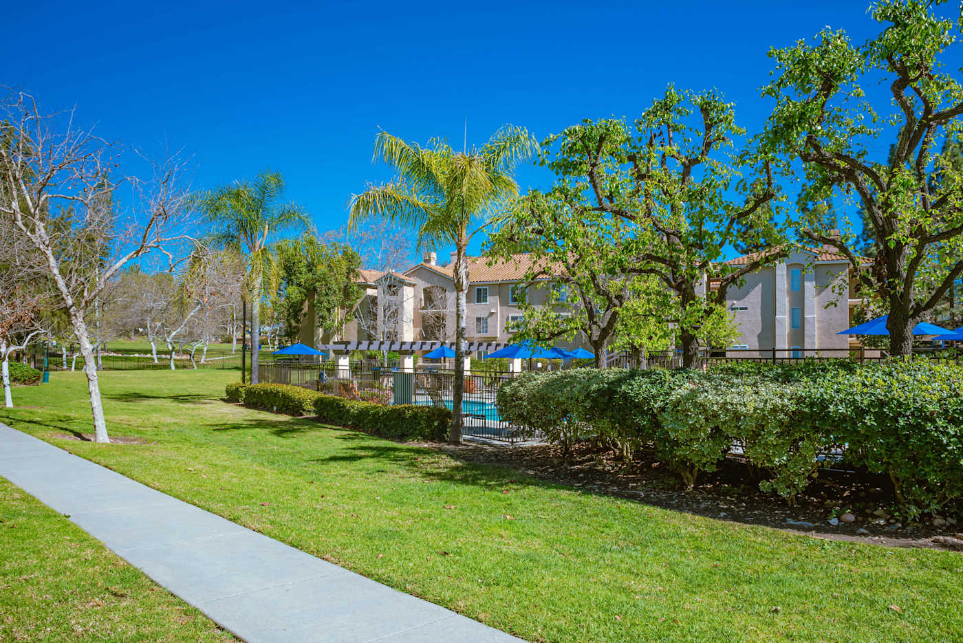 Central Park La Mesa — Landscape