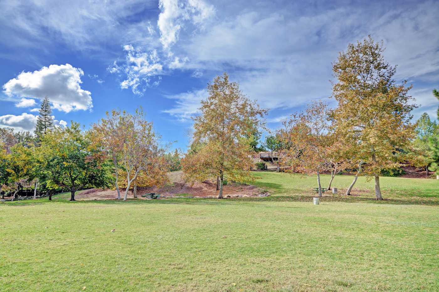 Central Park La Mesa — Greenbelt Park Views
