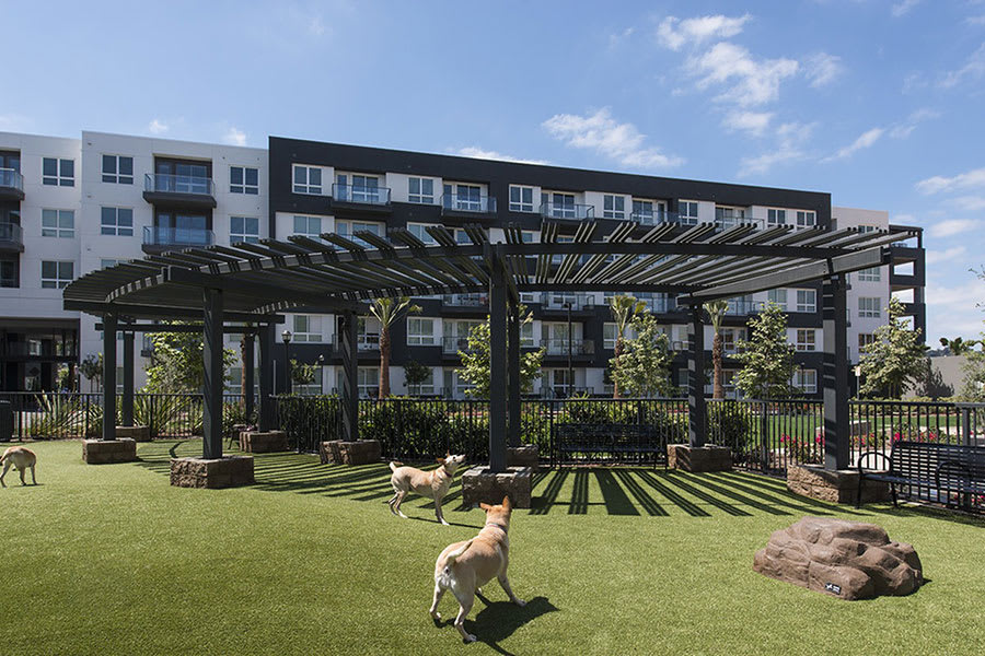 Vora Mission Valley — Dog Park