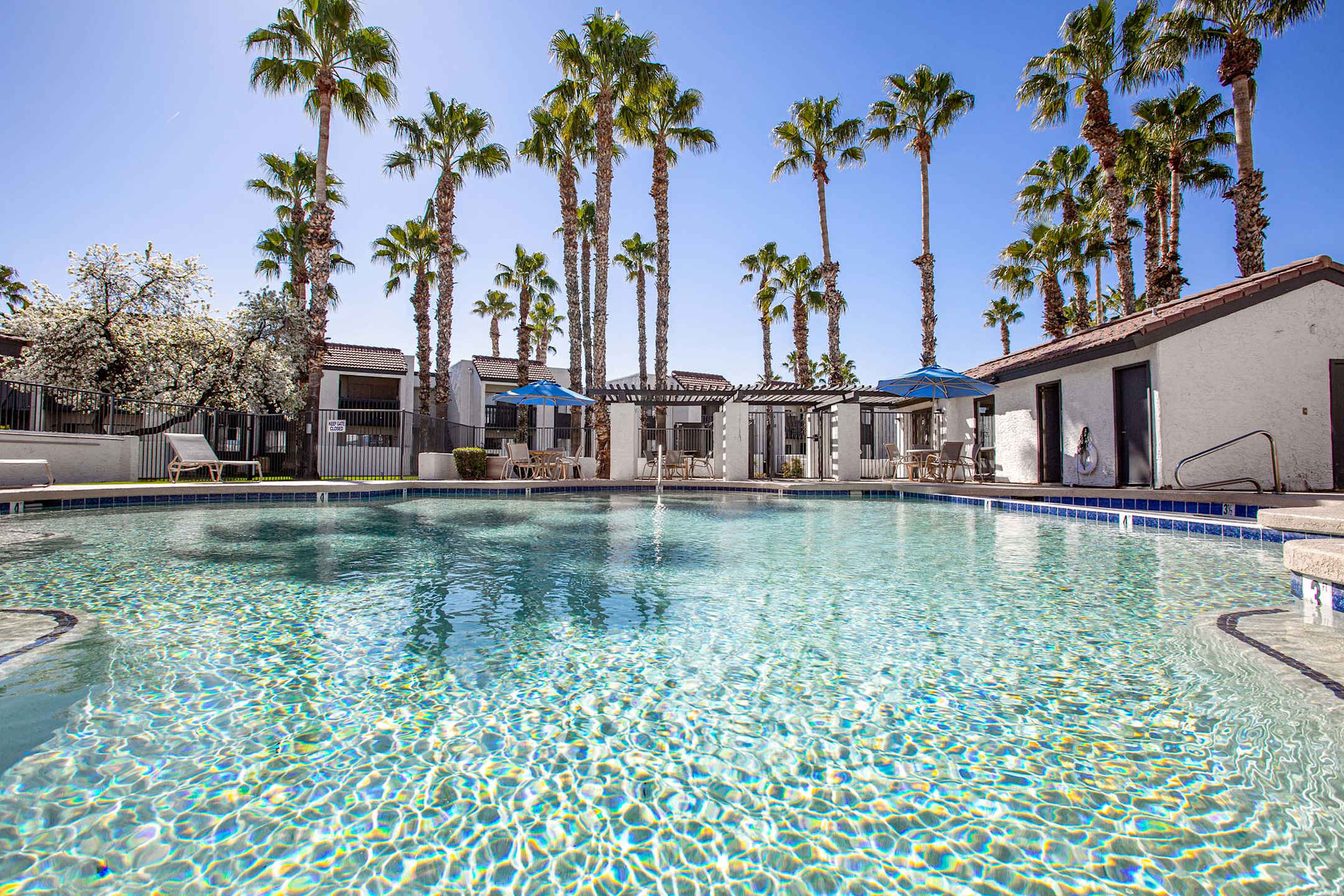 Pool and poolside area at Townhomes on the Park Apartment Homes.