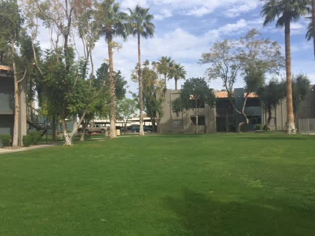 Shared outdoor space at Paradise Greens.