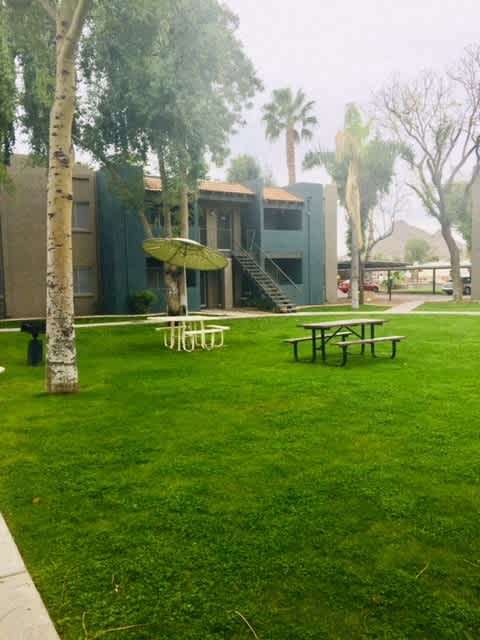 Shared outdoor space at Paradise Greens.