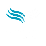 A logo for Village Springs at Lake Orlando is displayed.