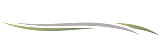 the season at usta logo with the word season at unstated on a green