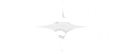 Willow Crossing