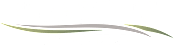 the season at usta logo with the word season at unstated on a green