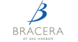 Bracera