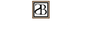 southbrook logo icon