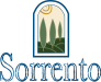 a window with a plant in the background and the word sorrento in the foreground