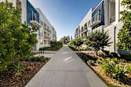 a walkway between two apartment buildings with trees and plants