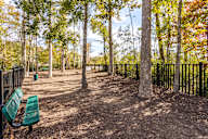 A park with a bench and trees.