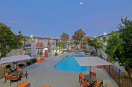 Pool at Allora Phoenix Apartments, Phoenix, 85021