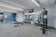 A gym with a variety of equipment including weights and a bench press.
