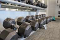 A row of black dumbbells are lined up on a rack in a gym.