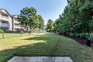 A sunny day at a park with apartment buildings in the background.