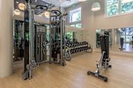A gym with a row of treadmills and a row of weight machines.