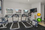Bloomingdale Woods Apartments Valrico Florida Fitness Center Treadmills, Bike, Elliptical, and Medicine Balls with TV