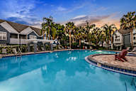 A swimming pool surrounded by palm trees and lounge chairs.