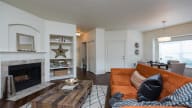 Village at Main Street | Living Room  with Built In Shelving and Fireplace