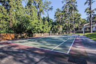 Tennis court surrounded by trees and a fence.