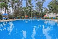 Large blue swimming pool surrounded by trees and sun loungers.