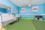 Room with blue walls and a green floor has a broom and a bench.