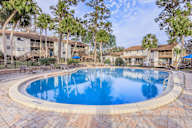 Round swimming pool surrounded by a brick patio and palm trees.